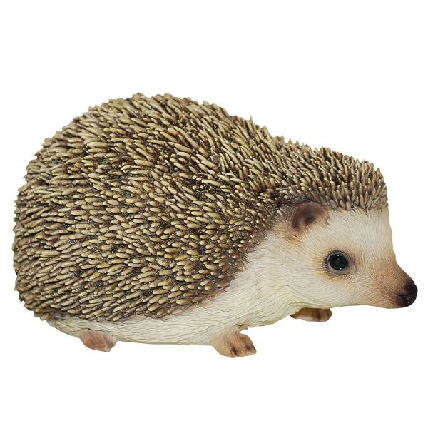 Vivid Arts Pp Pygmy Hedgehog F