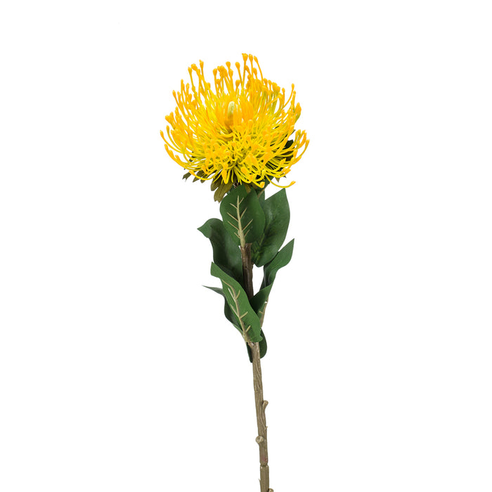 EEG Nutans Spray Yellow 72cm