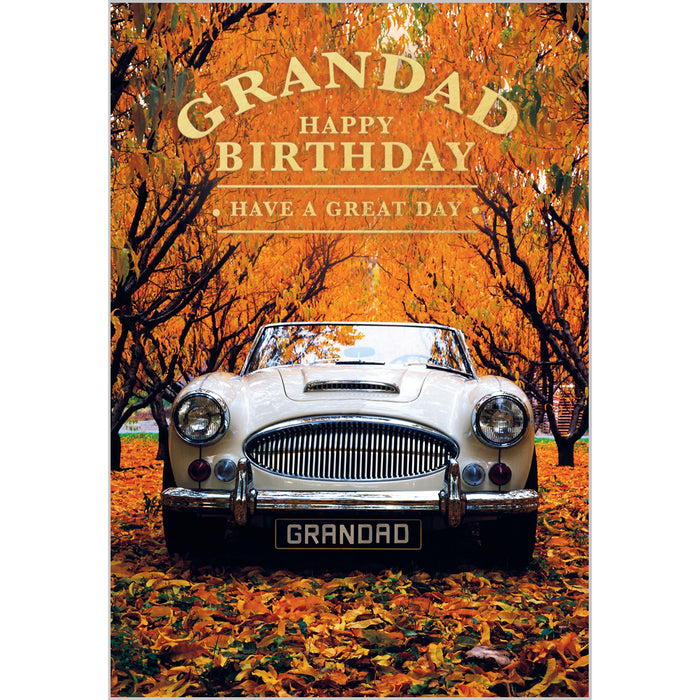 ABA Birthday Granddad - Silver Austin Healey