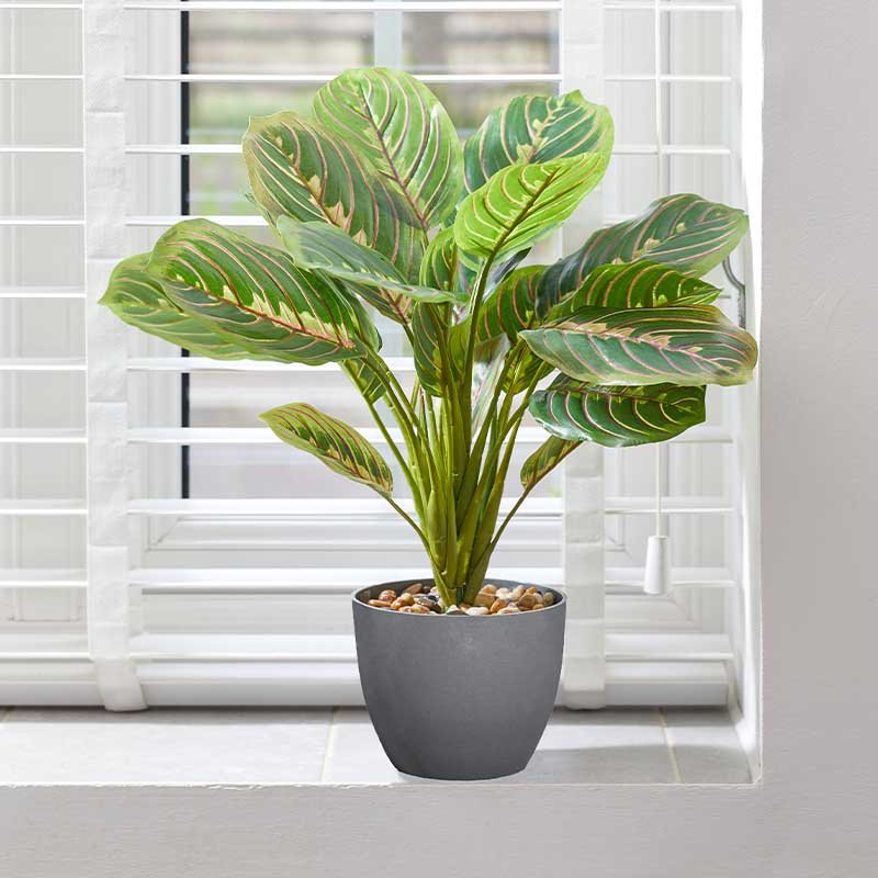 Faux Décor Prayer Plant 35cm