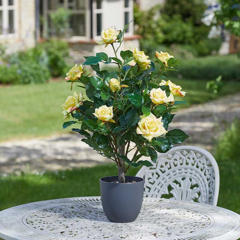 Faux Décor Regent's Roses - Sunshine Yellow 60cm