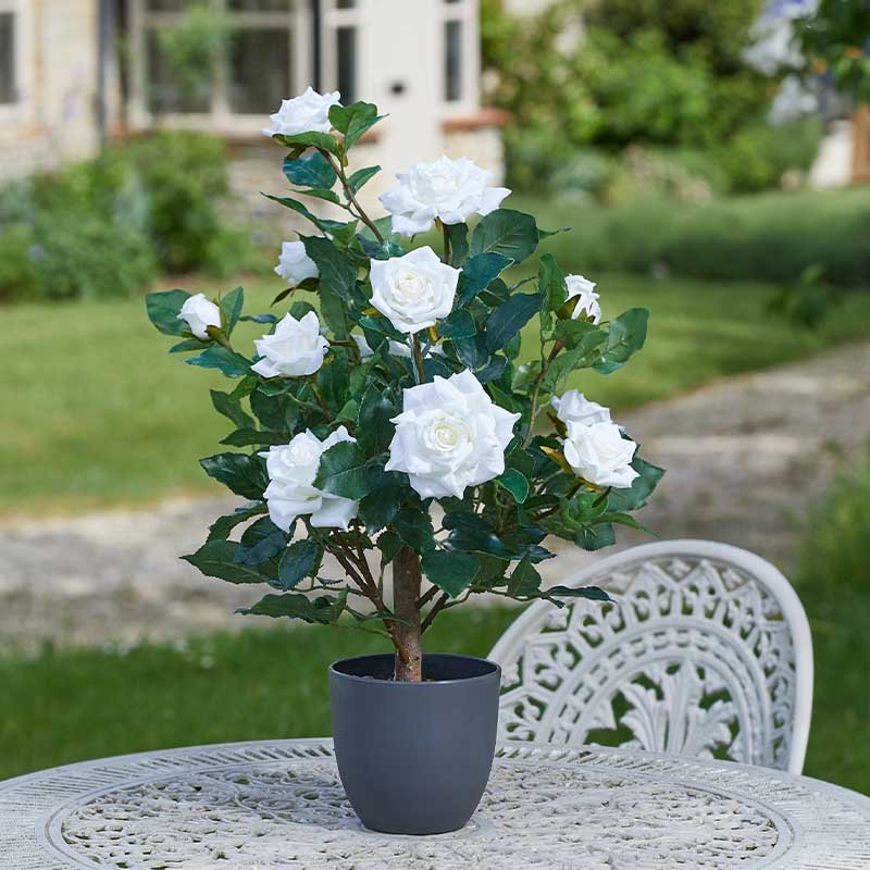 Faux Décor Regent's Roses - White 60cm