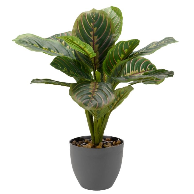 Faux Décor Prayer Plant 35cm