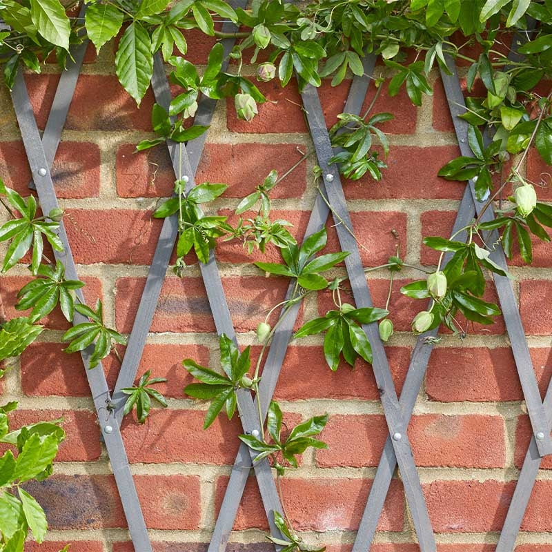 Smart Garden Heavy Duty Expanding Trellis - Slate 1.8 x 0.3m