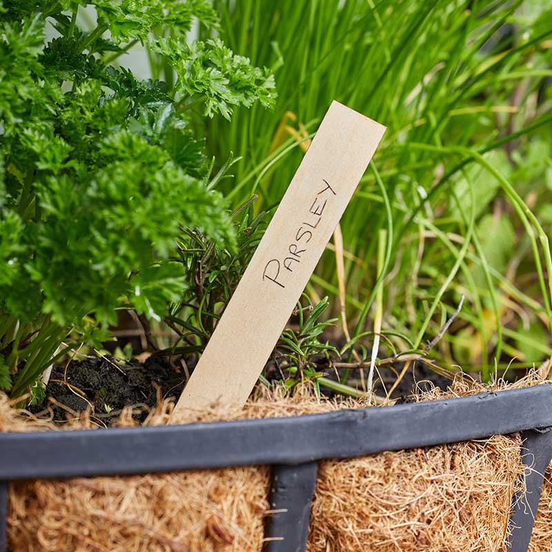 Smart Garden 15cm Wooden Plant Labels 40pk