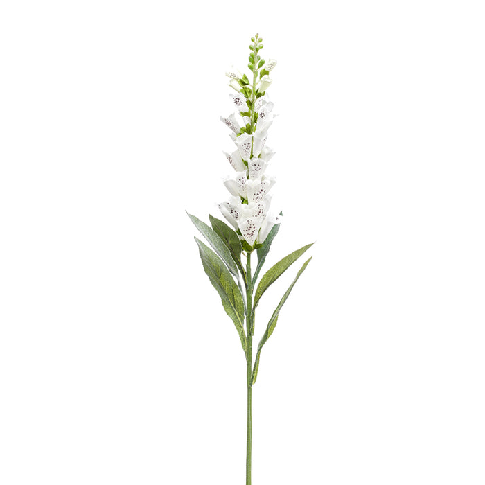 Emerald Digitalis Spray Cream 92cm