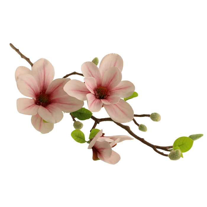 Sage Décor  Magnolia Grandiflora Spray 74Cm