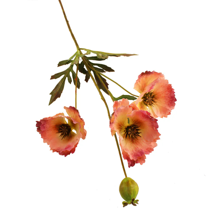 Sage Décor  Shirley Poppy 70Cm