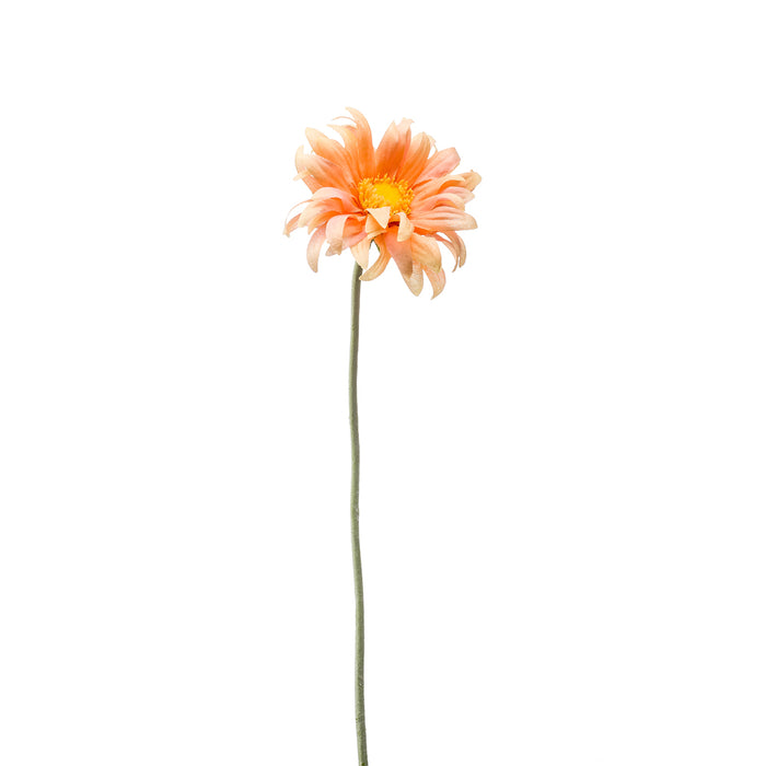 Emerald Gerbera Mini Spray Peach 50cm