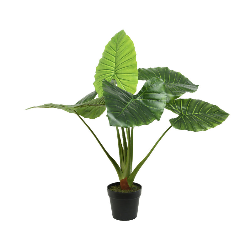 Kaemingk Taro Taro In Pot Plastic