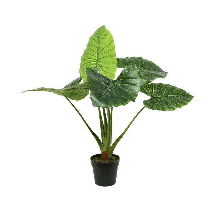 Kaemingk Taro Taro In Pot Plastic