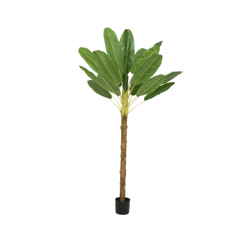 Kaemingk Banana Plant In Pot PE