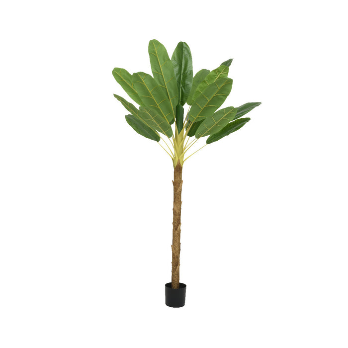 Kaemingk Banana Plant In Pot PE