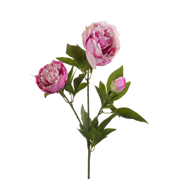 Emerald Peony Spray x3 70cm Light Purple