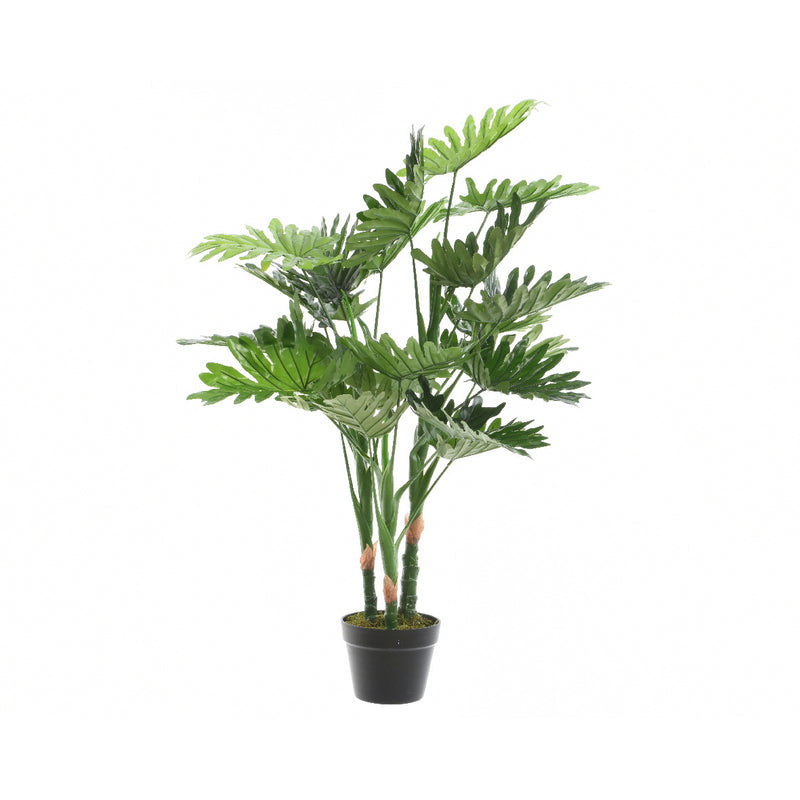 Kaemingk Philodendron Philodendron In Pot Plastic