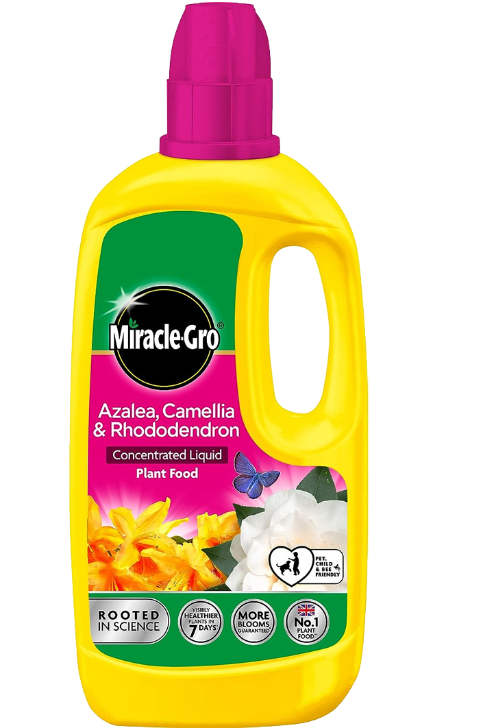 Miracle Gro Azalea Camellia & Rhododendron Concentrated Liquid Plant Food 1Ltr