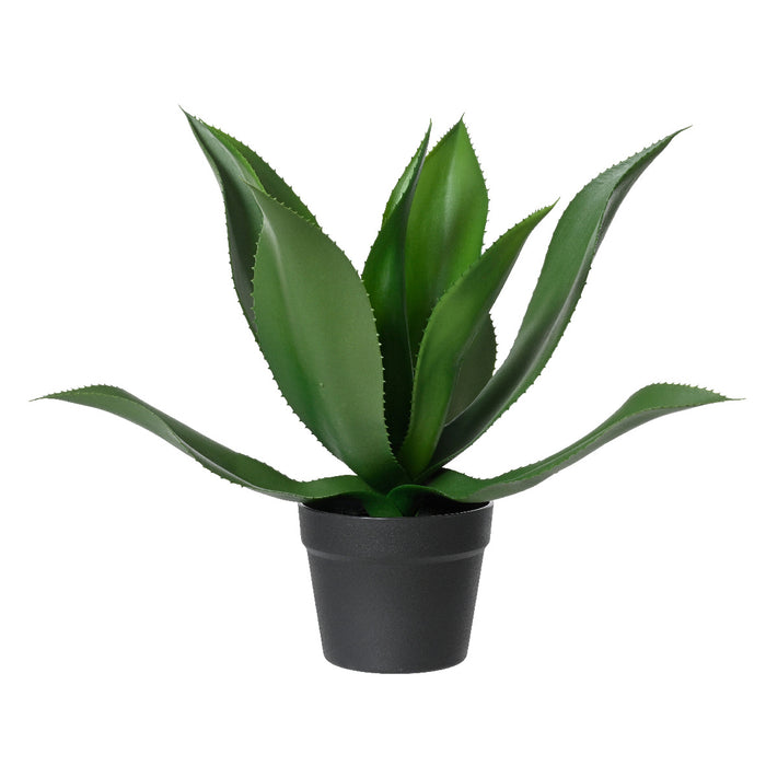 Kaemingk Agave In Pot