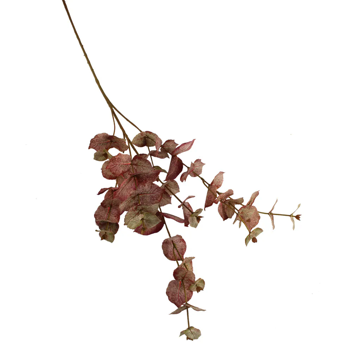 Sage Décor  Wood Spurge Spray 95Cm