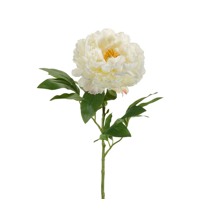 Emerald Peony Spray 65cm Cream