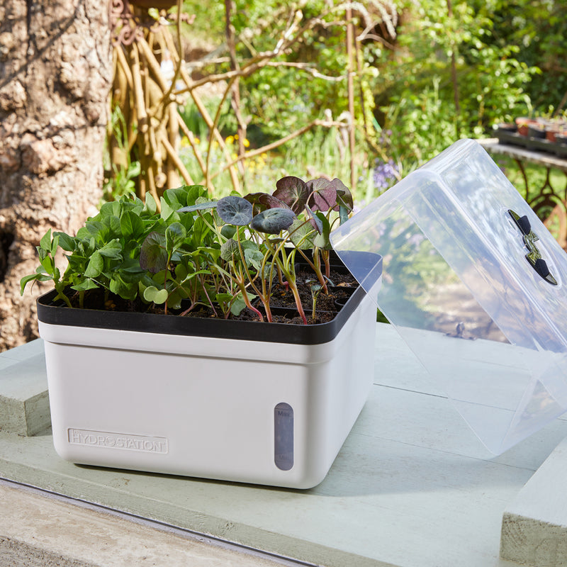 Smart Garden Perfect Propagator