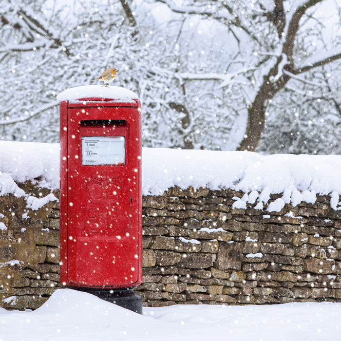 Abacus Xmas 2024 Packs - Red Postbox In Snow