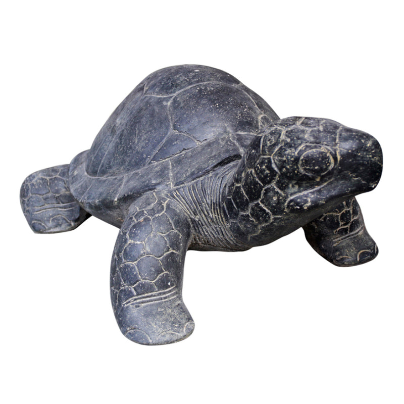 Turtle 60cm