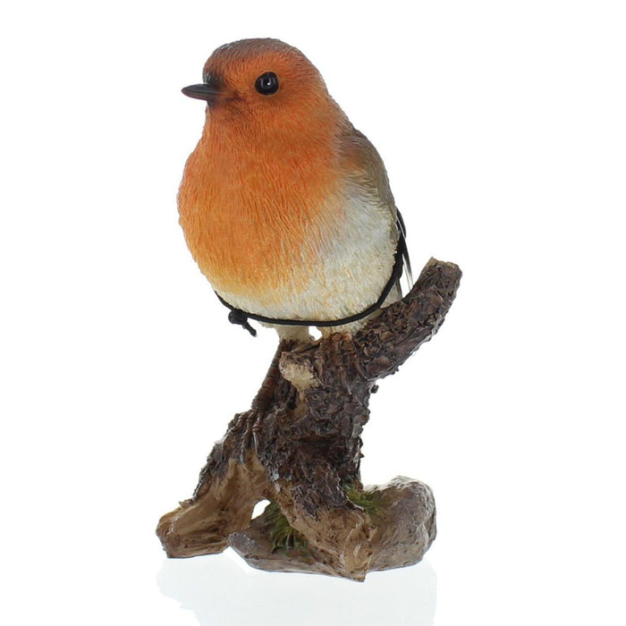 Vivid Arts Wbc Robin F