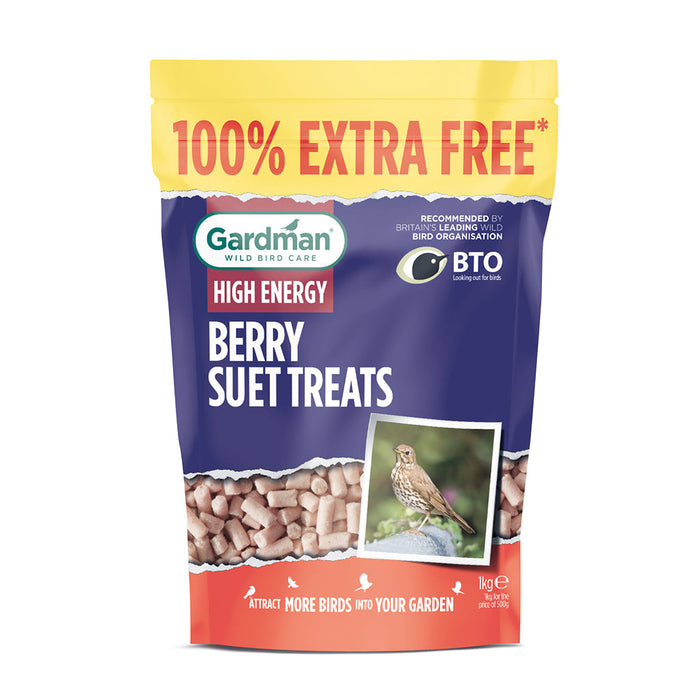 GARDMAN Berry Suet Treats 500g + 100% Extra