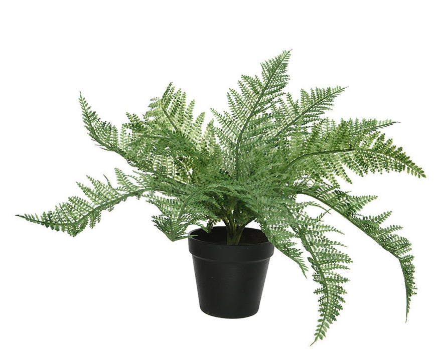 Kaemingk Fern In Pot