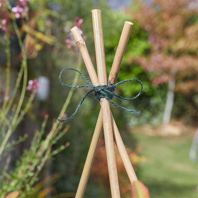 Smart Garden Garden & Home Twine - Green 100G
