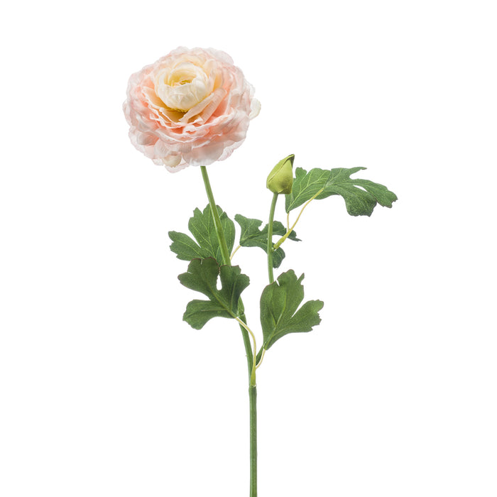 EEG Ranunculus 53cm Peach