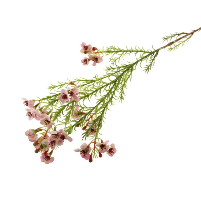 Sage Décor  Wax Flower Spray 66Cm