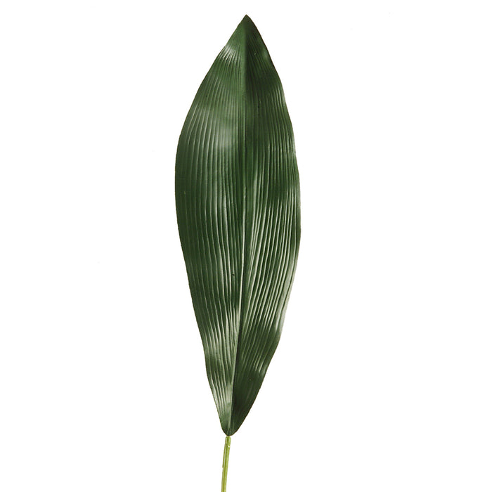 Emerald Aspidistra Leaf 75cm Dk Green