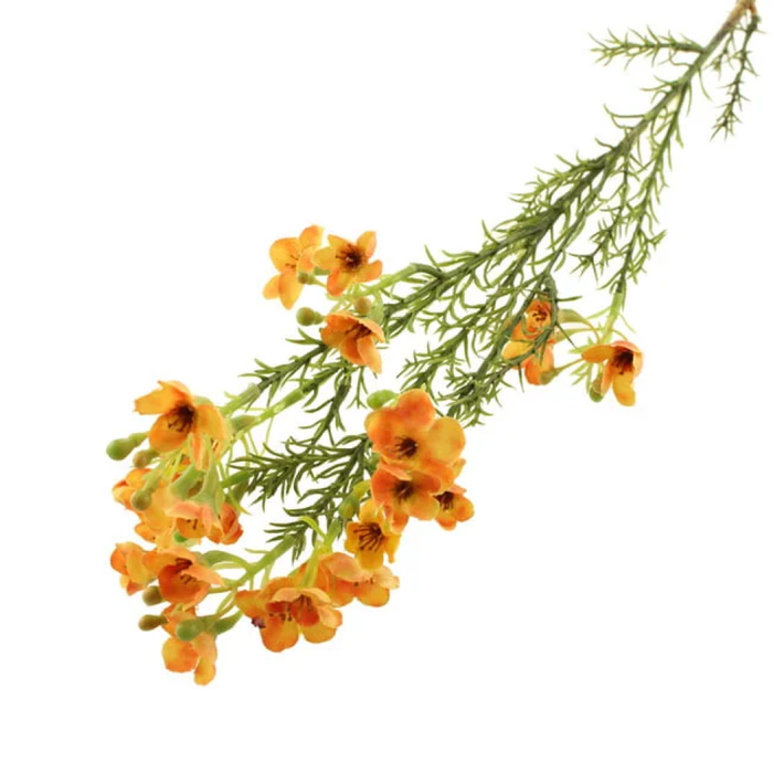 Sage Décor  Wax Flower Spray 66Cm