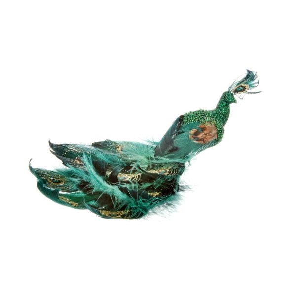 Smart Garden Peacock- Emerald