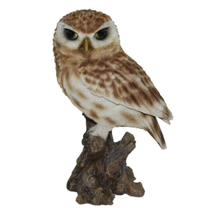 Vivid Arts Real Life Little Owl D