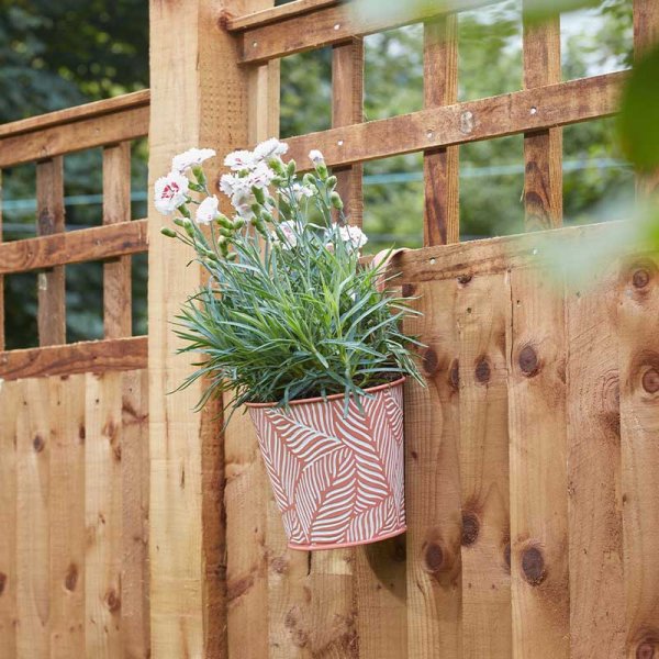 Smart Garden 6" Fence & Balcony Hanging Pot - Fern - Terracotta