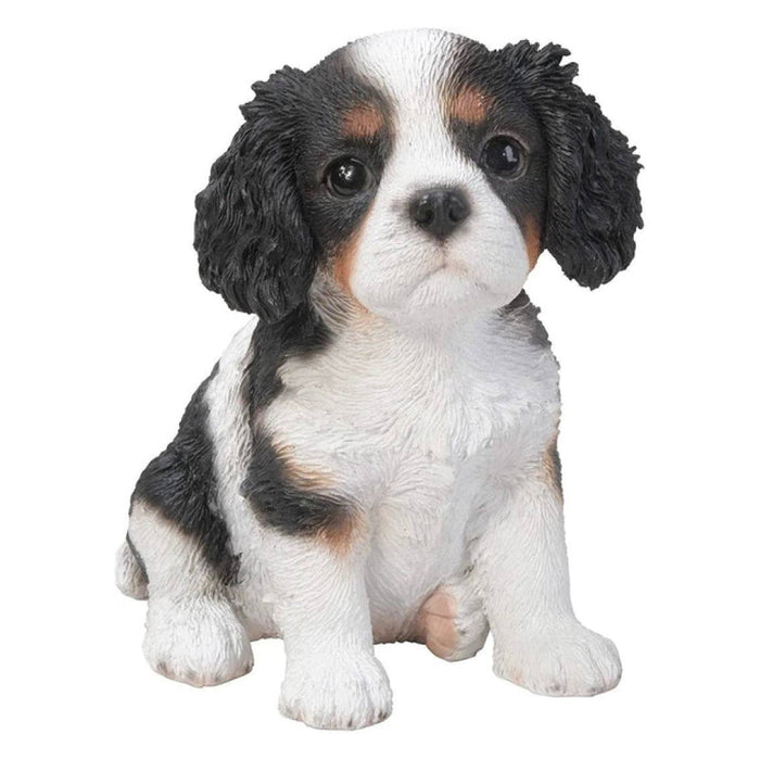 Vivid Arts T/C King Charles Puppy F