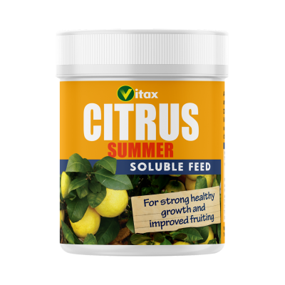Vitax Citrus Feed - Summer 200g