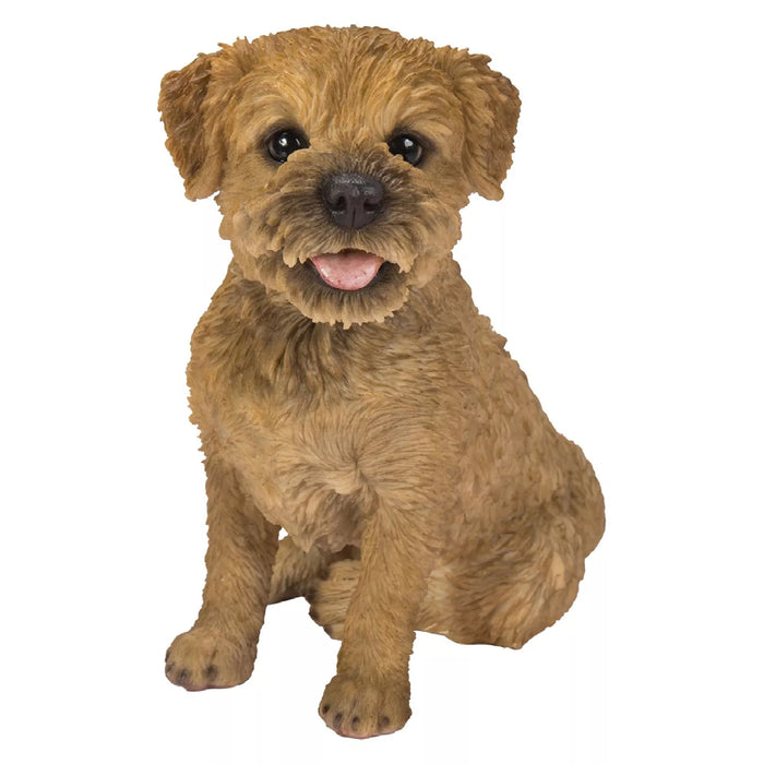 Vivid Arts Rl Border Terrier D
