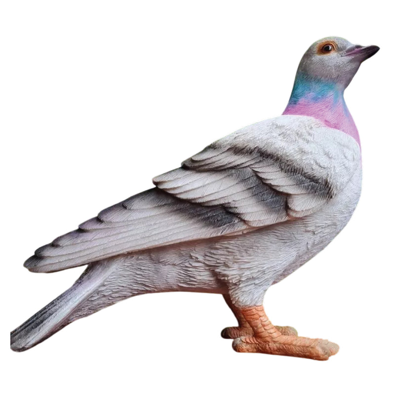 Vivid Arts RL Pigeon