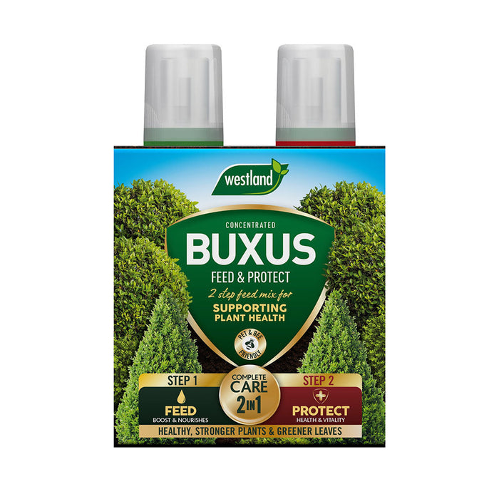 Westland Buxus 2 in 1 Feed & Protect