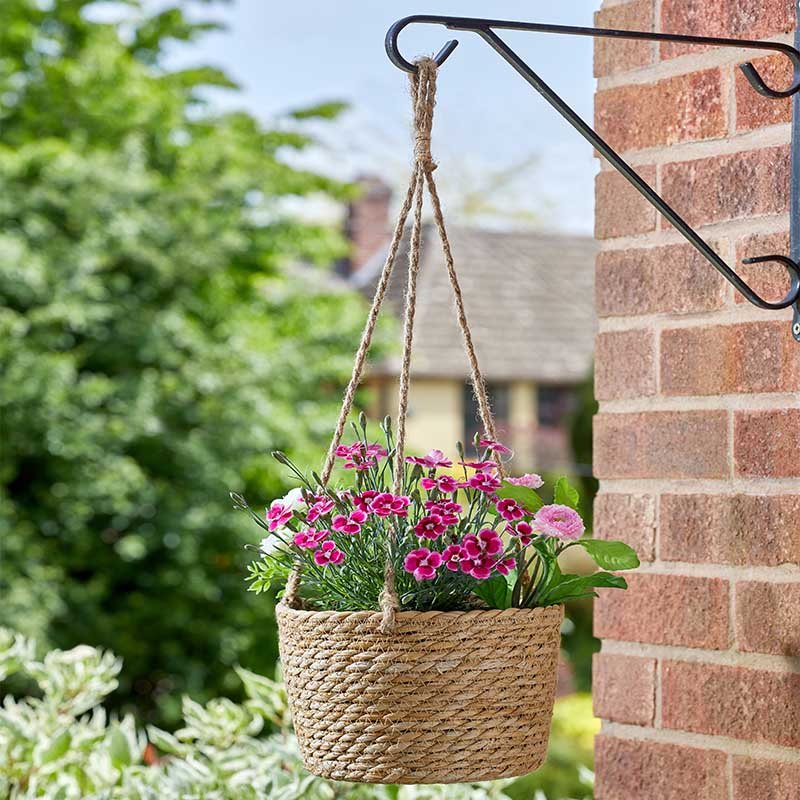 Smart Garden 8" weaver basket