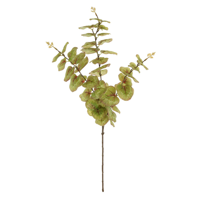 Lotus Imports Printed Rounded Eucalyptus Spray Brown/Green