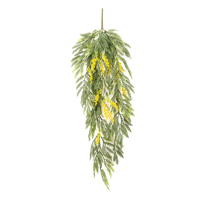 Emerald Mimosa Hanging Bush X3 Yellow 85cm