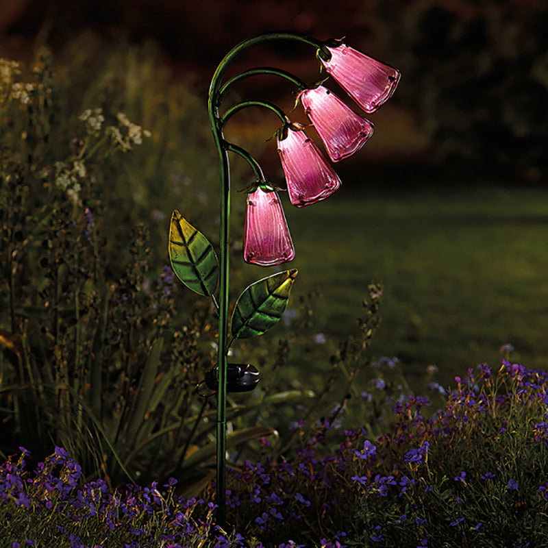 Smart Solar Foxglove