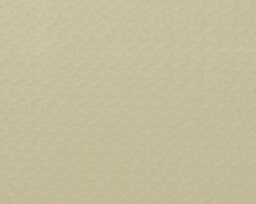 Kaemingk Cream Cotton Throw 127cm x 150cm