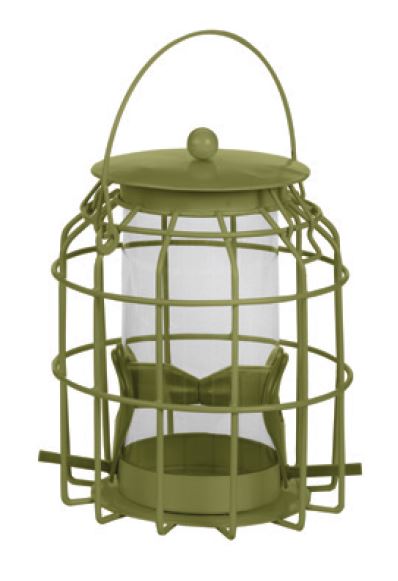 Chapelwood Compact Squirrel Proof Seed Feeder Assorted