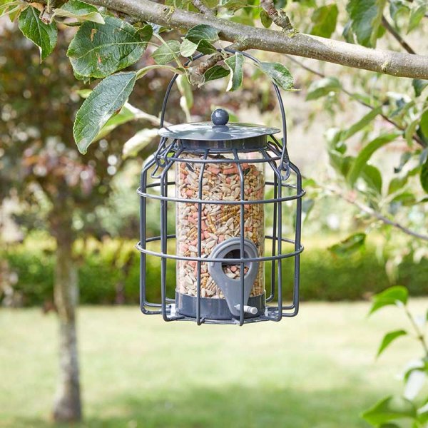 Chapelwood Compact Squirrel Proof Seed Feeder Assorted