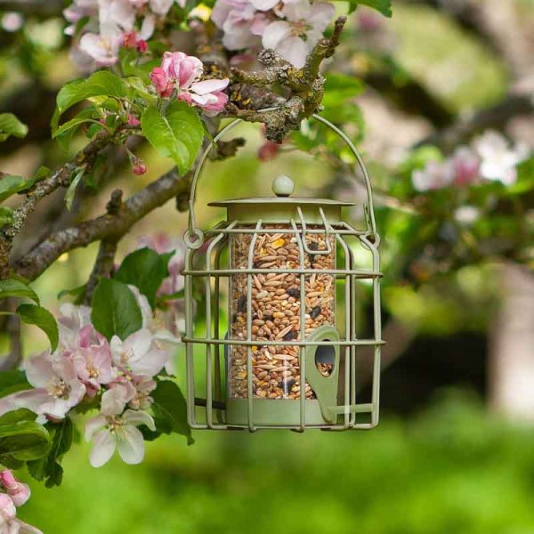 Chapelwood Compact Squirrel Proof Seed Feeder Assorted